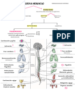 S2 Farmacologia de Sistemas