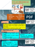 Biomoléculas Organicas - Proteínas 02-05