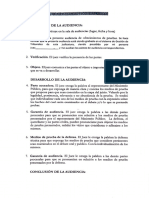 Audiencia de Ofrecimiento de Prueba