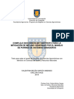 Complejo Biocarbón-Metanótrofo para La Mitigación de Metano Generado Por El Manejo de Purines