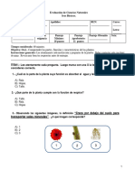 Prueba - Las Plantas - Abril