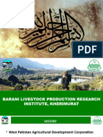 Brief For Minister Livestock L&DD Punjab October, 2023