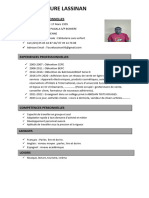 Curriculum Vitae Lassinan