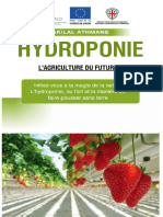 Hydroponie Algérie