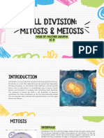 Meiosis and Mitosis