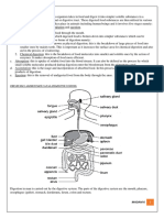 Holozoic Nutrition 1