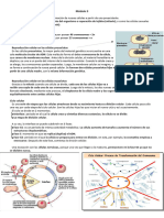 UNLaM Biociencias - Módulo 9