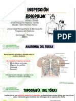 Inspeccion Cardiopulmonar