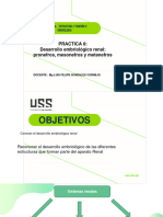 Sem 8 Práctica Aparato Renal I DR Gonzales