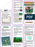 PDF Reino Protista - Compress