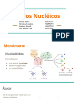 Ácidos Nucléicos