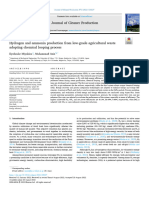 Hydrogen and Ammonia Production From Low-Grade Agricultural Waste Adopting Chemical Looping Process