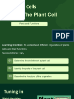 L5 - Plant Cells