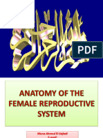 1 - Anatomy of The Female Reproductive System