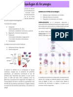 Fisiologia de La Sangre