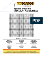 Sopa de Letras de Contaminacion Ambiental