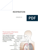 8 - 1 Respiration