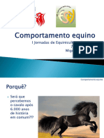 Comportamento Equino