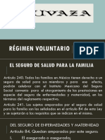 Régimen Voluntario