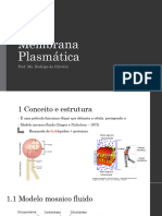 Membrana Plasmática