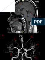 Anatomia 2018