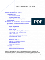 Fisiopatología y Electrofisiología de Las Arritmias y Los Ritmos de Paro Cardiac