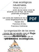 Piramides Ecológicas y Ciclos Biogeoquímicos