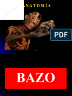 BAZO