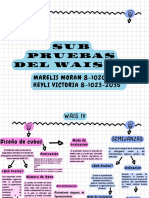 Mapa Conceptual Wais-Iv