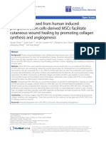 Exosomes Released From Human Induced Pluripotent Stem Cells Derived MSCs Facilitate Cutaneous Wound Healing by Promoting Collagen Synthesis and Angiogenesis