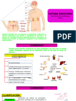 Sistema Endocrino Vick