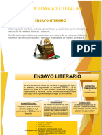 El Ensayo Literario