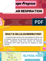 Cellular Respiration Grupo Progreso