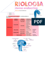 Embriología Del Sistema Endocrino