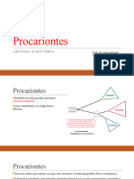 Procariontes