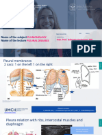 5 +Pleural+Dis+UMCH