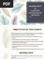 Term II Week 4 Respiration and Gaseous Exchange in Humans