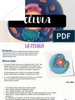 Célula 240807 144203