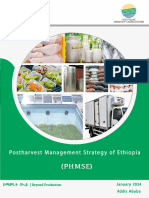 PHM Strategy of Ethiopia PHMSE 4