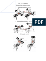 Estrutura Com Três Ciclos de Treino