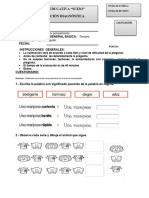 Prueba Diagnóstica Desarrollo