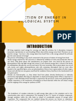 Production of Energy in Biological System