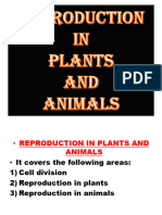 Cell Division