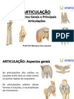 Sistema Articular