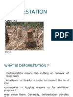 Deforestation - Final Prroject