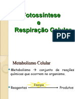 Fotossíntese e Respiração