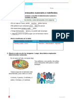 Los Determinantes, Numerales, Posesivos