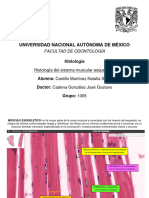 CMNS Histología Del Sistema Muscular Esquelético