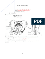 Pelvis and Its Viscera