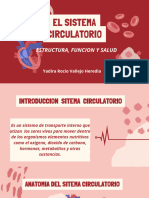 The Circulatory System Education Presentation in 0 Hand Drawn Lightly Textu - 20240803 - 024010 - 0000